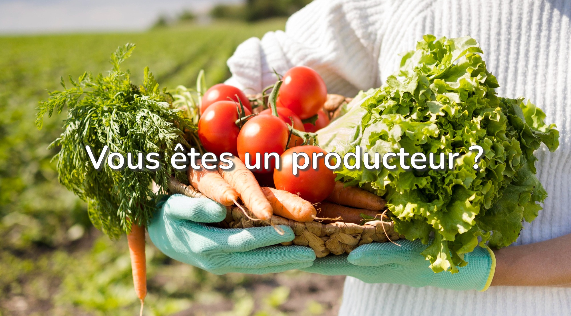 fruit-legume